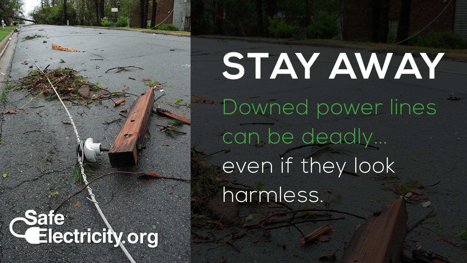 Should You Drive Over A Downed Power Line at Stacey Mankin blog